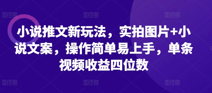小说推文新玩法，实拍图片+小说文案，操作简单易上手，单条视频收益四位数-数码之翼