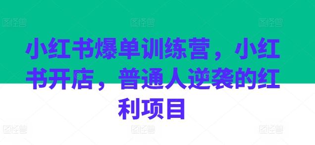 小红书爆单训练营，小红书开店，普通人逆袭的红利项目-数码之翼