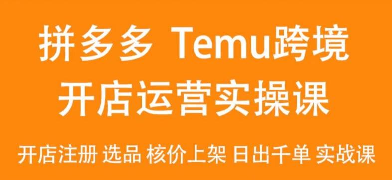 2024Temu最新玩法，Temu跨境开店运营实操课，开店注册/选品/核价上架/日出千单实战课-数码之翼
