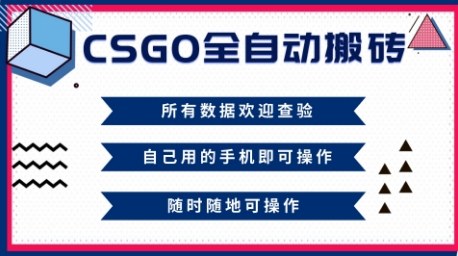 CSGO全自动搬砖,年底钱回家好项目,当天可拿到结果,新手小白轻松月入1W+【揭秘】-数码之翼