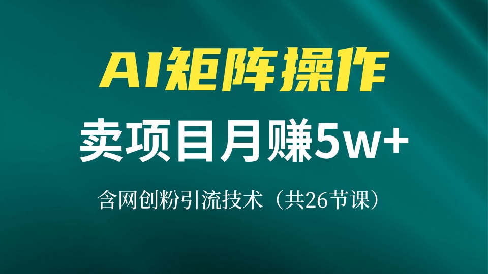 网创IP打造课，借助AI卖项目月赚5万+，含引流技术(共26节课-数码之翼
