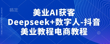 美业AI获客Deepseek+数字人-抖音美业教程电商教程-数码之翼