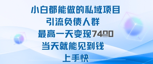 2025年小白都能做的私域项目引流负债人群最高一天变现1k+高变现难度低当天就能见到钱上手快-数码之翼