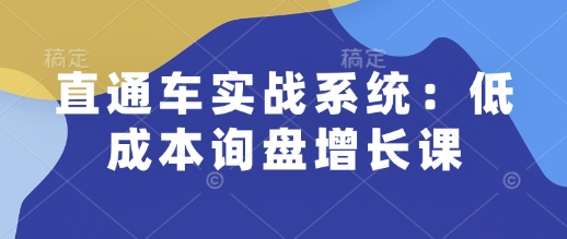 直通车实战系统：低成本询盘增长课，让个人通过技能实现升职加薪，让企业低成本获客，订单源源不断-数码之翼