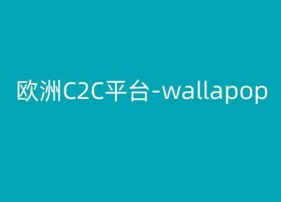 欧洲C2C平台-wallapop-kim跨境电商教程-数码之翼