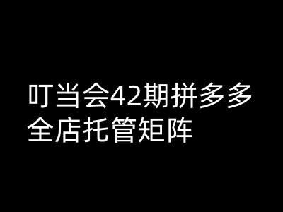 叮当会拼多多打爆班原创高阶技术第42期，拼多多全店托管矩阵-数码之翼