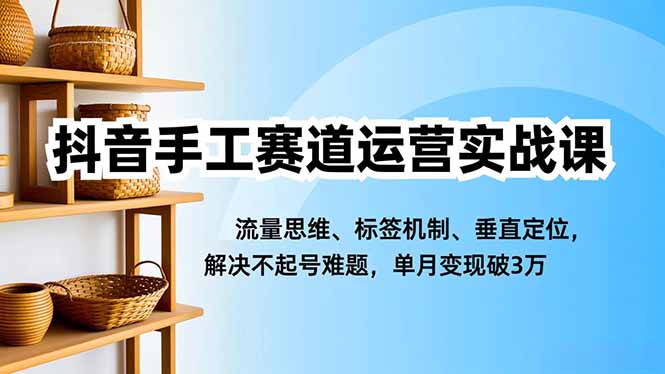 抖音手工赛道运营实战课，流量思维、标签机制、垂直定位，解决不起号难题，单月变现破3万-数码之翼