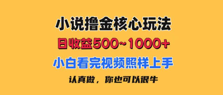 小说撸金核心玩法，日收益500-1000+，小白看完照样上手，0成本有手就行-数码之翼