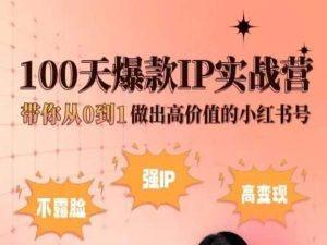 小红书100天爆款IP实战营，带你从0到1做出高价值的小红书号-数码之翼
