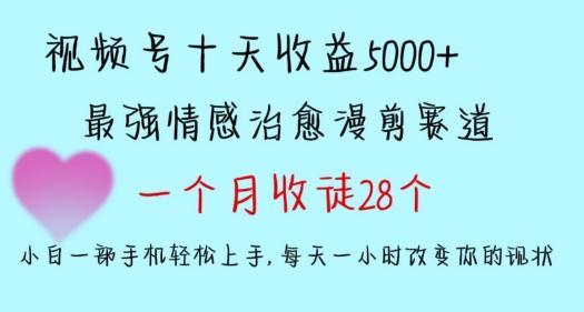 十天收益5000+，多平台捞金，视频号情感治愈漫剪，一个月收徒28个，小白一部手机轻松上手【揭秘】-数码之翼