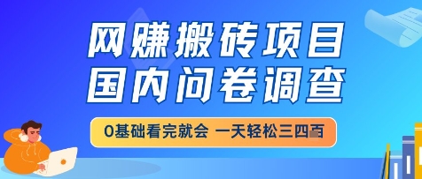 网创搬砖项目,国内问卷调查,小白轻松上手,一天三四张的也不难,干就完了【揭秘】-数码之翼