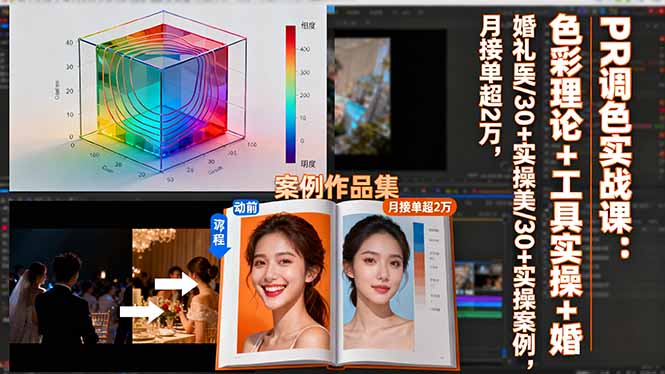 PR调色实战课：色彩理论+工具实操+婚礼医美/30+实操案例，月接单超2万-数码之翼