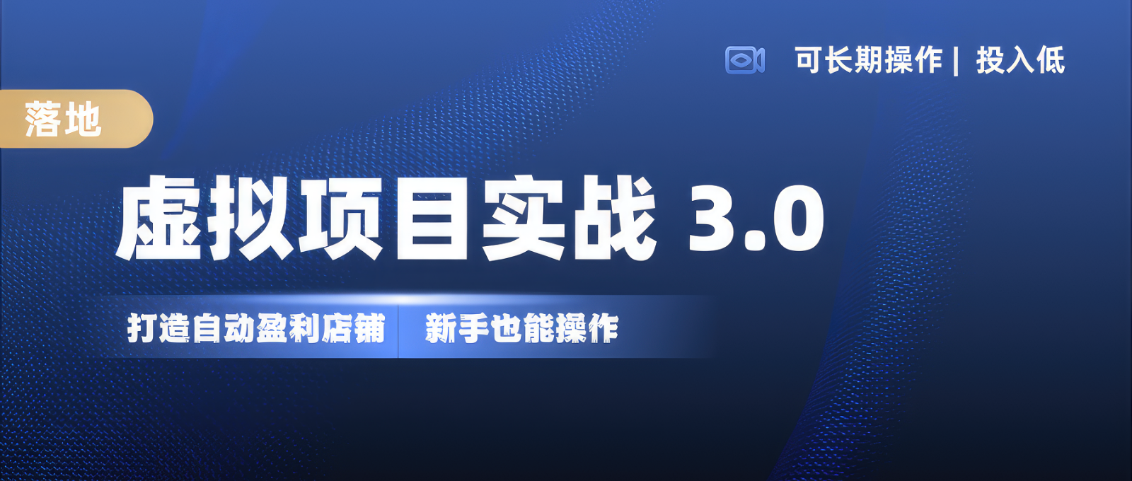 虚拟项目实操落地 3.0,新手轻松上手，单品月入1W+-数码之翼