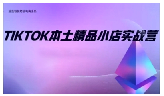 TikTok本土精品小店出海实战营,从入门到高阶,不止0-1!-数码之翼
