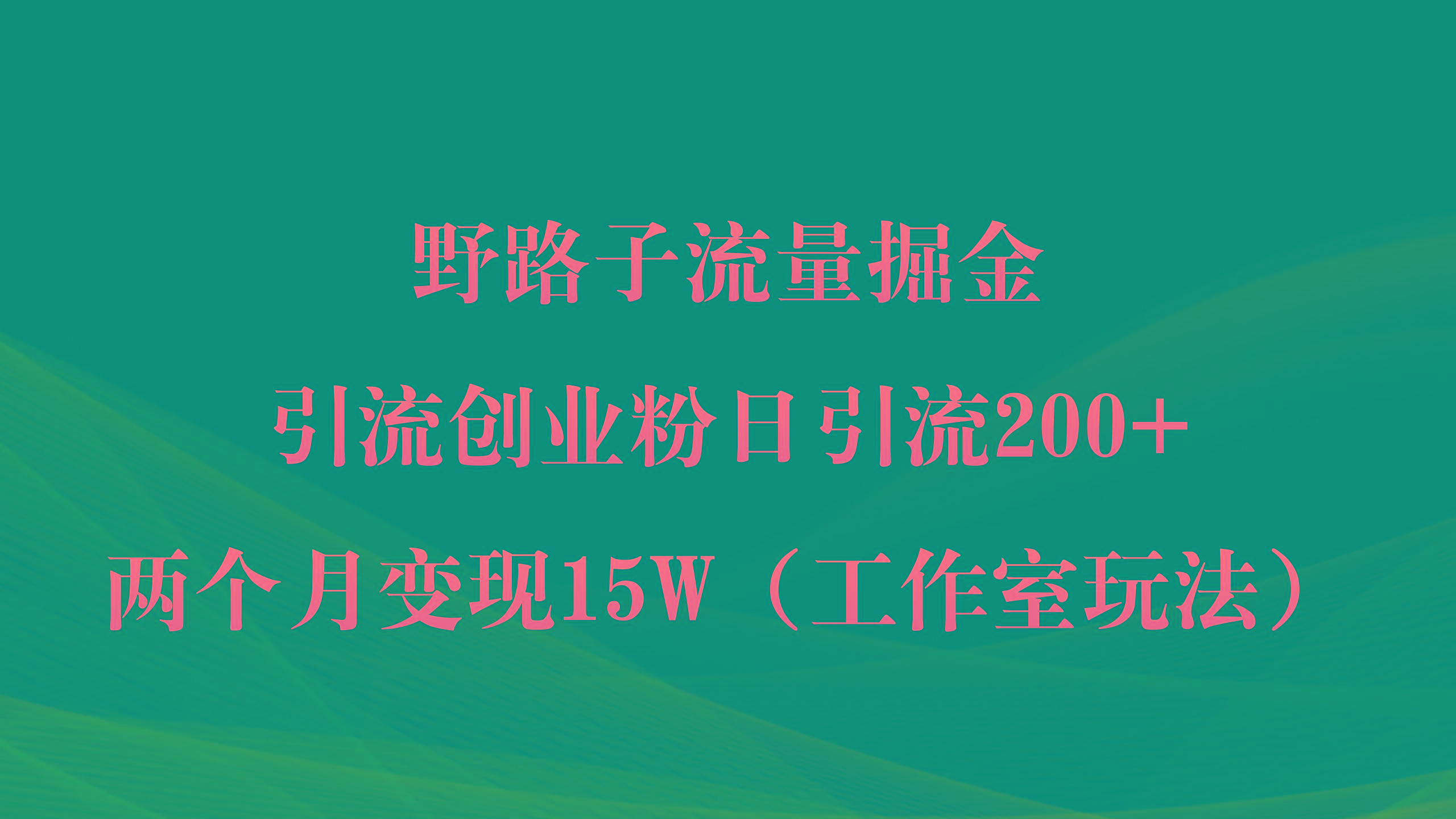 (9513期)野路子流量掘金，引流创业粉日引流200+，两个月变现15W(工作室玩法))-数码之翼