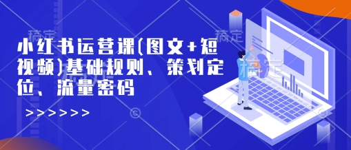 小红书运营课(图文+短视频)基础规则、策划定位、流量密码-数码之翼