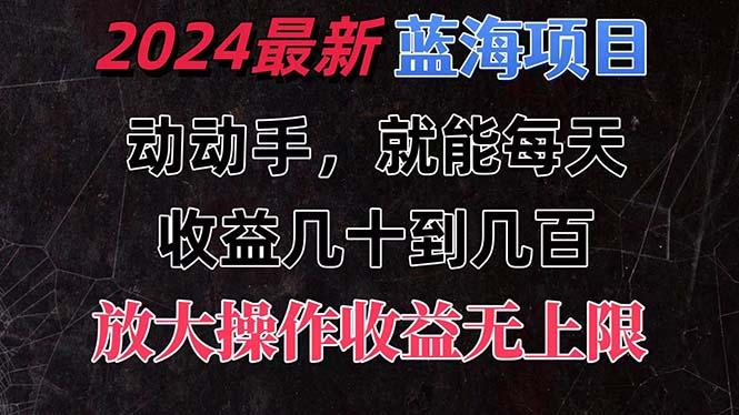 有手就行的2024全新蓝海项目，每天1小时收益几十到几百，可放大操作收…-数码之翼