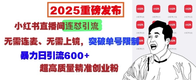 2025重磅发布：小红书直播间连怼引流，无需连麦、无需上镜，突破单号限制，暴力日引流600+-数码之翼