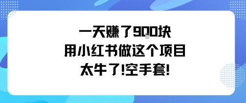 一天挣了9张用小红书做这个项目太牛了，空手套-数码之翼