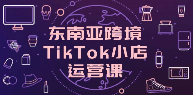 东南亚跨境TikTok小店运营课，掌握店铺设置与流量转化核心技巧-数码之翼