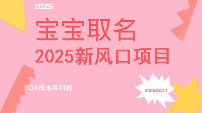 2025新风口项目宝宝取名，0成本高利润，附保姆级教程，月入过万不是梦-数码之翼