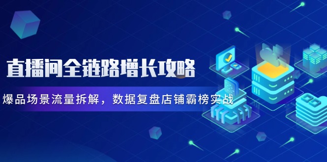 直播间全链路增长攻略，爆品场景流量拆解，数据复盘店铺霸榜实战-数码之翼