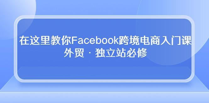 在这里教你Facebook跨境电商入门课，外贸·独立站必修-数码之翼
