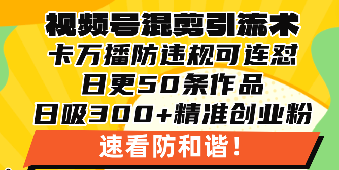 视频号混剪引流技术，500万播放引流17000创业粉，操作简单当天学会-数码之翼