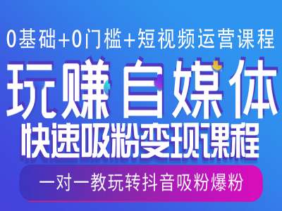 0基础+0门槛+短视频运营课程，玩赚自媒体快速吸粉变现课程，一对一教玩转抖音吸粉爆粉-数码之翼