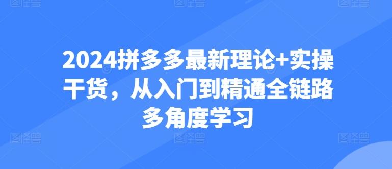 2024拼多多最新理论+实操干货,从入门到精通全链路多角度学习-数码之翼