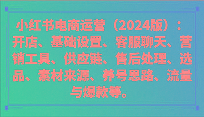 小红书电商运营(2024版)：开店、设置、供应链、选品、素材、养号、流量与爆款等-数码之翼