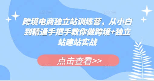 跨境电商独立站训练营，从小白到精通手把手教你做跨境+独立站建站实战-数码之翼