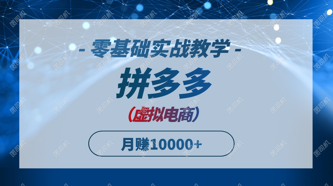 拼多多虚拟电商，零基础实战教学，快速打爆商品，新手也能月入10000+-数码之翼