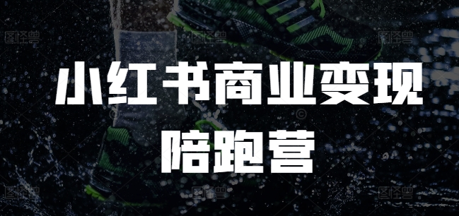 小红书商业变现陪跑营，小红书电商教程-数码之翼