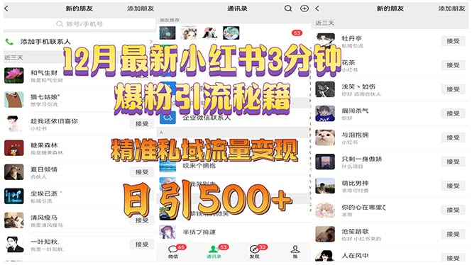 12月最新小红书3分钟爆粉引流秘籍 精准私域流量变现 日引500+-数码之翼