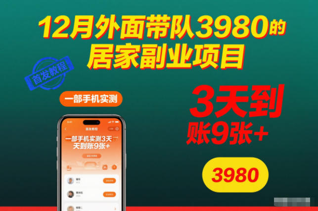 12月外面带队3980的居家副业项目，一部手机实测3天到账9张+，首发教程【揭秘】-数码之翼