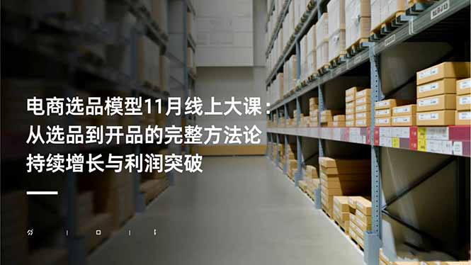 电商选品模型11月线上大课：从选品到开品的完整方法论 持续增长与利润突破-数码之翼