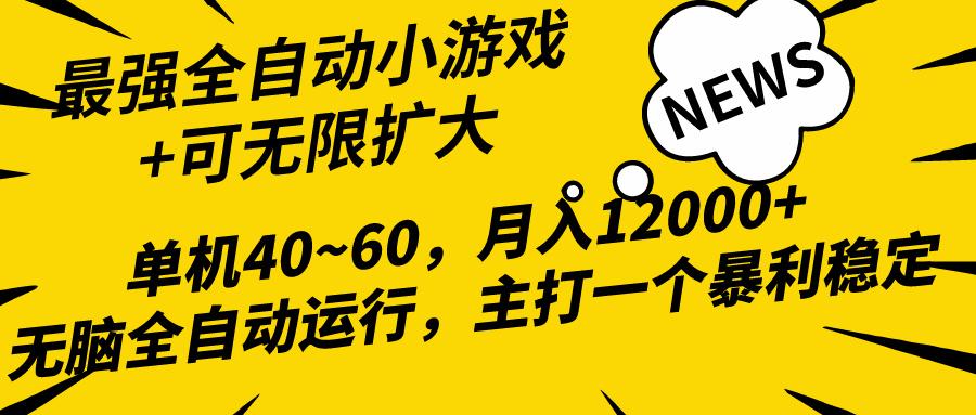 (10046期)2024最新全网独家小游戏全自动，单机40~60,稳定躺赚，小白都能月入过万-数码之翼