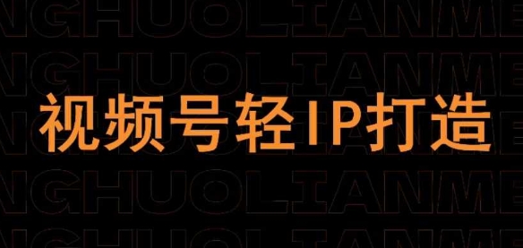 视频号线上课程，视频号轻IP打造-数码之翼