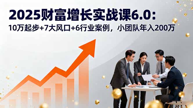 2025财富增长实战课6.0：10万起步+7大风口+6行业案例，小团队年入200万-数码之翼