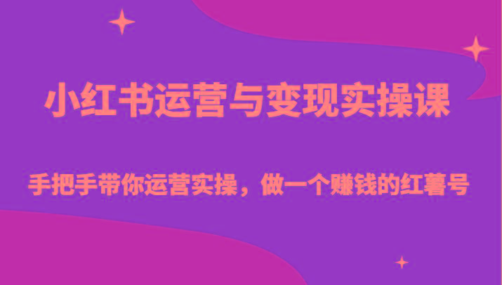 小红书运营与变现实操课-手把手带你运营实操，做一个赚钱的红薯号-数码之翼
