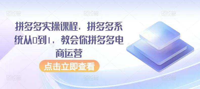 拼多多实操课程，拼多多系统从0到1，教会你拼多多电商运营-数码之翼