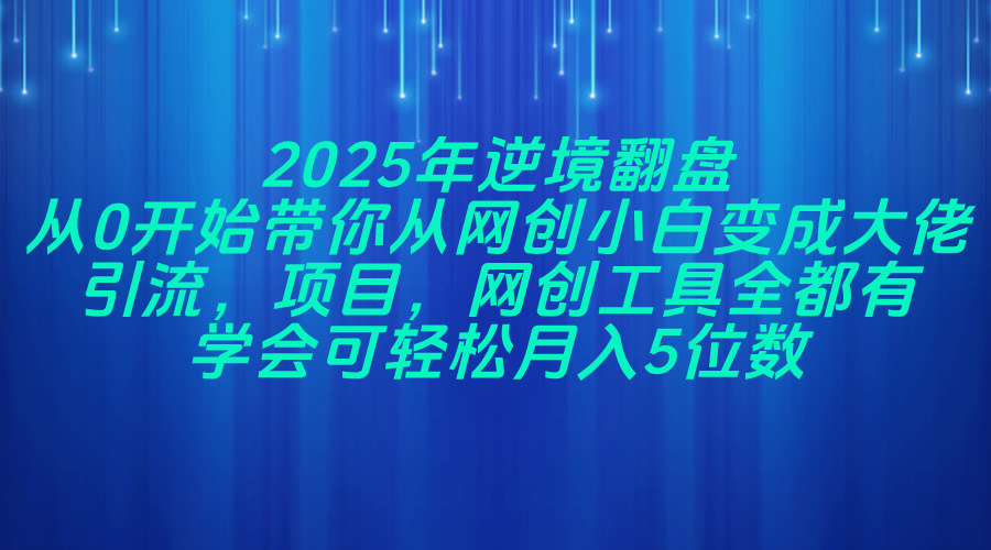 2025年逆境翻盘，从0开始带你从网创小白变成大佬，引流，项目，网创工...-数码之翼