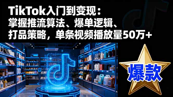 TikTok入门到变现：掌握推流算法、爆单逻辑、打品策略，单条视频播放量50w-数码之翼
