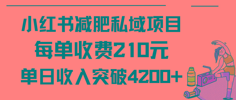 (9466期)小红书减肥私域项目每单收费210元单日成交20单，最高日入4200+-数码之翼