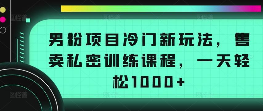 男粉项目冷门新玩法，售卖私密训练课程，一天轻松1000+【揭秘】-数码之翼