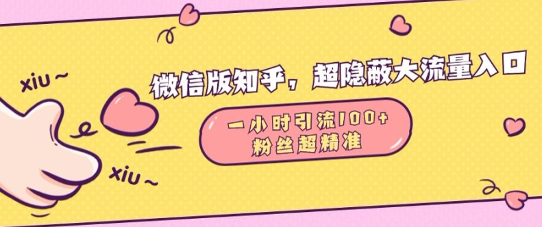 微信版知乎，超隐蔽流量入口1小时引流100人，粉丝质量超高【揭秘】-数码之翼