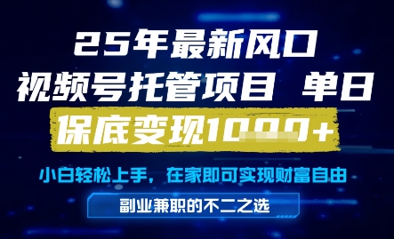 25年最新风口，视频号托管项目，单日保底变现1k+，手把手教学【揭秘】-数码之翼