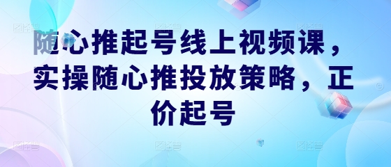 随心推起号线上视频课，实操随心推投放策略，正价起号-数码之翼