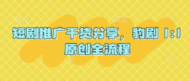 短剧推广干货分享，豹剧 1:1原创全流程-数码之翼